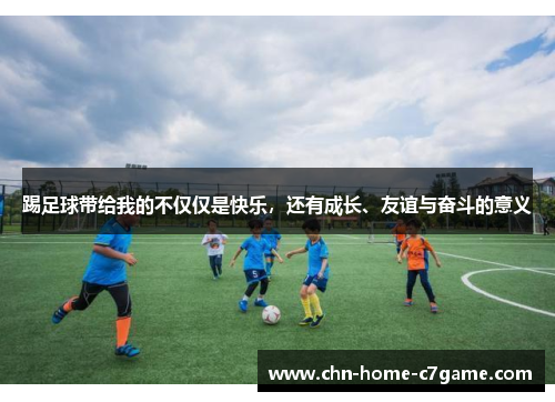 踢足球带给我的不仅仅是快乐,还有成长、友谊与奋斗的意义 踢足球带给我的不仅仅是快乐,还有成长、友谊与奋斗的意义