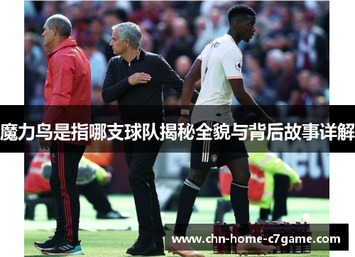 魔力鸟是指哪支球队揭秘全貌与背后故事详解