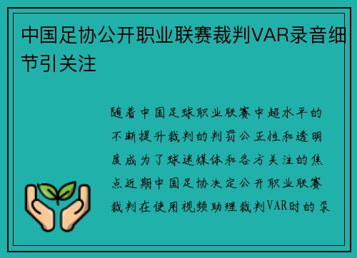 中国足协公开职业联赛裁判VAR录音细节引关注